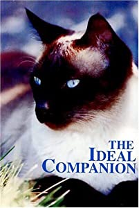 Ideal Companion [DVD](中古品)