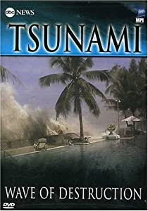 ABC News: Tsunami - Wave of Destruction [DVD](中古品)