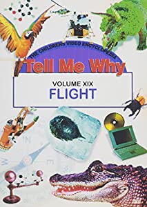 Flight [DVD](中古品)