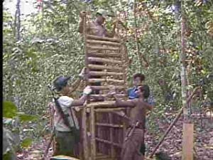 水曜スペシャル「川口浩 探検シリーズ」 川口浩探検隊『恐怖の人食いトラ!スマトラ奥地密林に血に飢えた牙を追え!!』『恐怖!ブラ