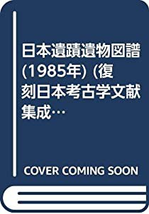 日本遺蹟遺物図譜 (1985年) (復刻日本考古学文献集成〈2期 6〉)(中古品)