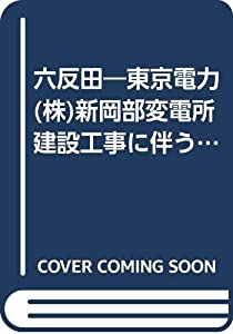 六反田—東京電力(株)新岡部変電所建設工事に伴う発掘調査報告書 (1981年)(中古品)の通販は