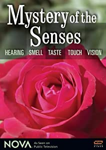Nova: Mystery of the Senses [DVD](中古品)
