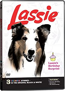 Lassie's Birthday Surprise [DVD](中古品)