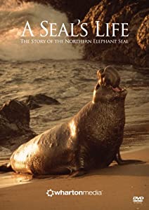 Seal's Life [DVD](中古品)