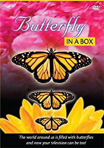Butterfly インチ a Box [ヴィデオディスク](中古品)