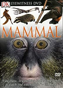 Eyewitness: Insect [DVD](中古品)
