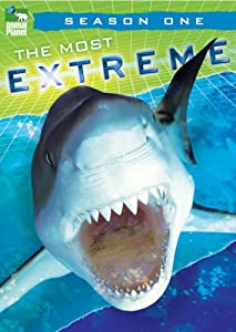 Most Extreme: Season One [DVD](中古品)