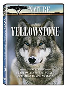 Nature: Yellowstone [DVD](中古品)