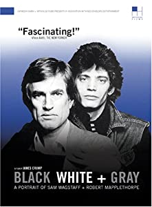 Black White &amp; Gray [DVD](中古品)