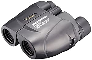 Kenko 双眼鏡 NEW SG New 8×25 SGWP ポロプリズム式 8倍 25口径 完全防水 ツイストアップ見口 ブラック 11744(中古品)