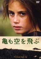 亀も空を飛ぶ [DVD](中古品)