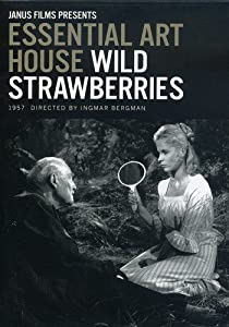 WILD STRAWBERRIES(中古品)
