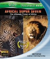 AFRICAS SUPER SEVEN アフリカの覇者達 [Blu-ray](中古品)