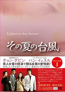 得価，大人気 その夏の台風DVD-BOX1(中古品)