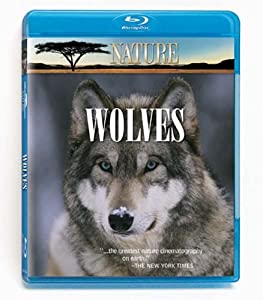 Nature: Wolves [Blu-ray](中古品)