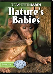 Nature's Babies [DVD](中古品)