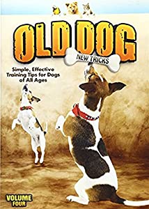 崖っぷちホテル! DVD-BOX〈6枚組〉新品未開封 Amazon.co.jp: 崖っぷちホテル! DVD-BOX : 岩田剛典, 戸田恵梨香, 浜辺