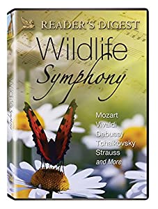 Wildlife Symphony [DVD](中古品)