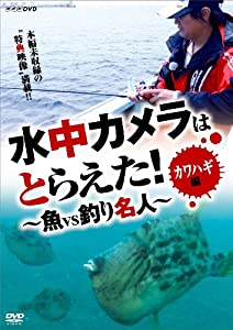 水中カメラはとらえた! 魚VS釣り名人 カワハギ編 [DVD](中古品)