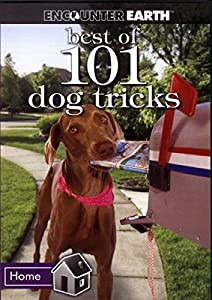 Best of 101 Dog Tricks [DVD](中古品)の通販は