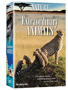 Nature: Extraordinary Animals [DVD](中古品)の通販は