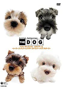 THE DOG ベスト・セレクション ふわこチーム ~シーズ、ミニチュア・シュナウザー、ヨークシャ・テリア、マルチーズ~ [DVD](中古