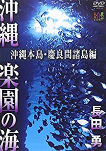 大自然ライブラリーシリーズ 長田 勇 撮影『沖縄 楽園の海 ~沖縄本島・慶良間諸島編~』 [DVD](中古品)