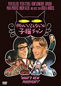 何かいいことないか子猫チャン [DVD](中古品)の通販は