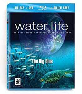 Water Life: The Big Blue [Blu-ray](中古品)