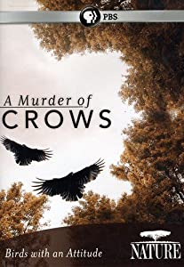 Nature: A Murder of Crows [DVD] [Import](中古品)