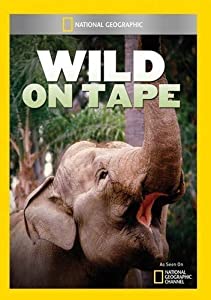 Wild on Tape [DVD](中古品)
