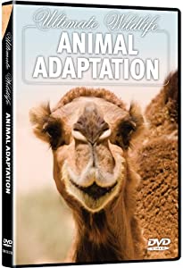 Ultimate Wildlife: Animal Adaptation [ヴィデオディスク](中古品)