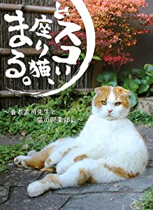 どスコい座り猫、まる。〜養老孟司先生と猫の営業部長 [DVD](中古品)