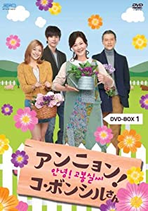 アンニョン!コ・ボンシルさん DVD-BOX1(中古品)