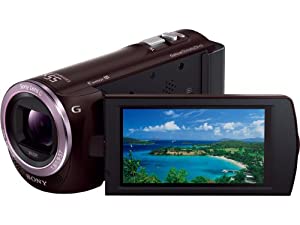 SONY デジタル固定ディスクテレビカメラリコーダー「HDR-CX390」(ボルドーワイン赤銅色) HDR-CX390-T(中古品)