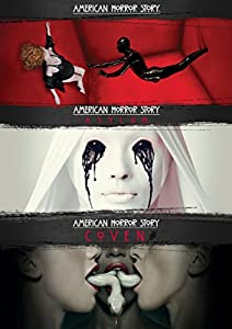 American Horror Story - Season 1-3 [DVD] [2014](中古品)