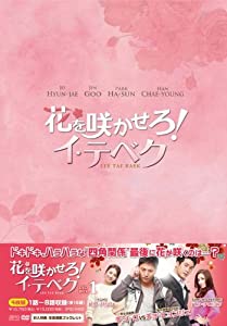 花を咲かせろ! イ・テベク DVD-BOX1(中古品)