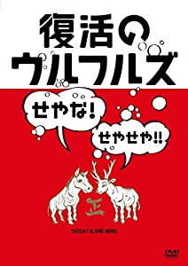 持ちなおすのウルフルズ~せやな!せやせや!!~ヤッサ!!&ONE MIND [ヴィデオディスク](中古品)