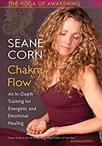 Yoga of Awakening: Chakra Flow [DVD] [Import](中古品)