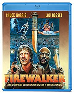 FIREWALKER(中古品)