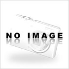 プロセスカートリッジ　富士通 LB110BF　環境共生トナー 純正(中古品)