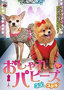 (未使用･未開封品)　おしゃれパピーズ ココ&ステラ [DVD] df5ndr3 おしゃれパピーズ ココ&ステラ [DVD](中古品)の通販はau PAY