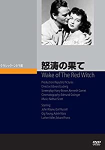 怒涛の果て [DVD](中古品)
