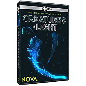 Nova: Creatures of Light [DVD] [Import](中古品)