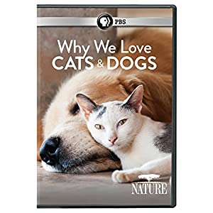 Nature: Why We Love Cats &amp; Dogs [DVD] [Import](中古品)