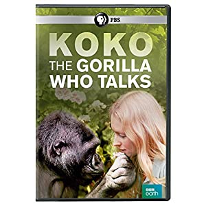 Koko: The Gorilla Who Talks [DVD] [Import](中古品)