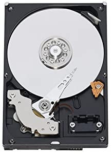 Western Digital Caviar Blue 320 GB Bulk/OEM Hard Drive 3.5 Inch, 16 MB Cache, 7200 RPM SATA II WD3200AAKS [並行輸入品](