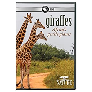 Nature: Giraffes: Africa's Gentle Giants [DVD] [Import](中古品)