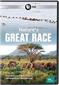 Nature's Great Race [DVD] [Import](中古品)